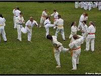 2011 06 24 3463-border